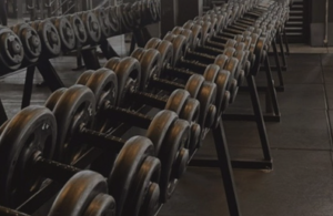 Calisthenics Exercises Advanced Club Houston