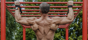 What is the main purpose of calisthenics?