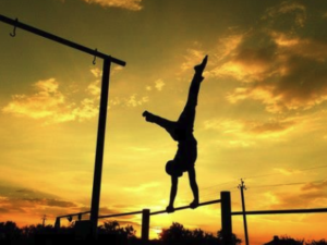 Find Your Perfect Nordic Cycle Experience in Houston USA