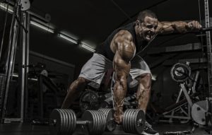 Nordic Cycle FAQs: Your Questions Answered