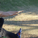 Do You Need Equipment for Private Calisthenics Training?