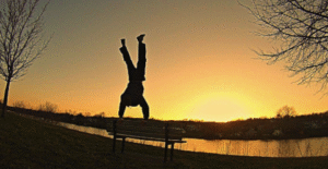 Preparing for Your Initial Consultation with a Calisthenics Coach