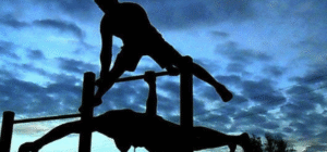Building a Strong Relationship with Your Calisthenics Coach Building a Strong Relationship with Your Calisthenics Coach