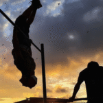 Gain Strength and Confidence Faster with Private Calisthenics for Beginners