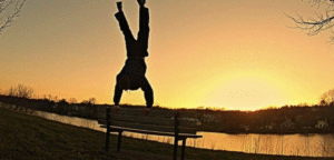 My Calisthenics Progress is Stuck – Can Private Sessions Reignite It? A Houstonian's Guide My Calisthenics Progress is Stuck – Can Private Sessions Reignite It? A Houstonian's Guide