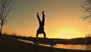 Top 10 Exercises You'll Master in Beginner Private Calisthenics Sessions