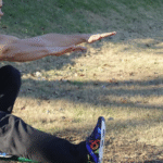 The Core of the Class: A Yoga-Centric Approach