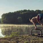 The Best Apps for Calisthenics Training