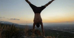 The Best Calisthenics Coaches in Houston, TX