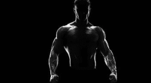 The Top Calisthenics Equipment Shops in Houston